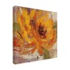 Trademark Fine Art Silvia Vassileva 'Fiery Dahlias I Crop' Canvas Art, 18x18 WAP06691-C1818GG
